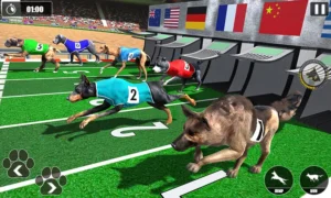 Cách Chơi Game Nhanh Đua Chó Tại HitClub Dành Cho Người Mới